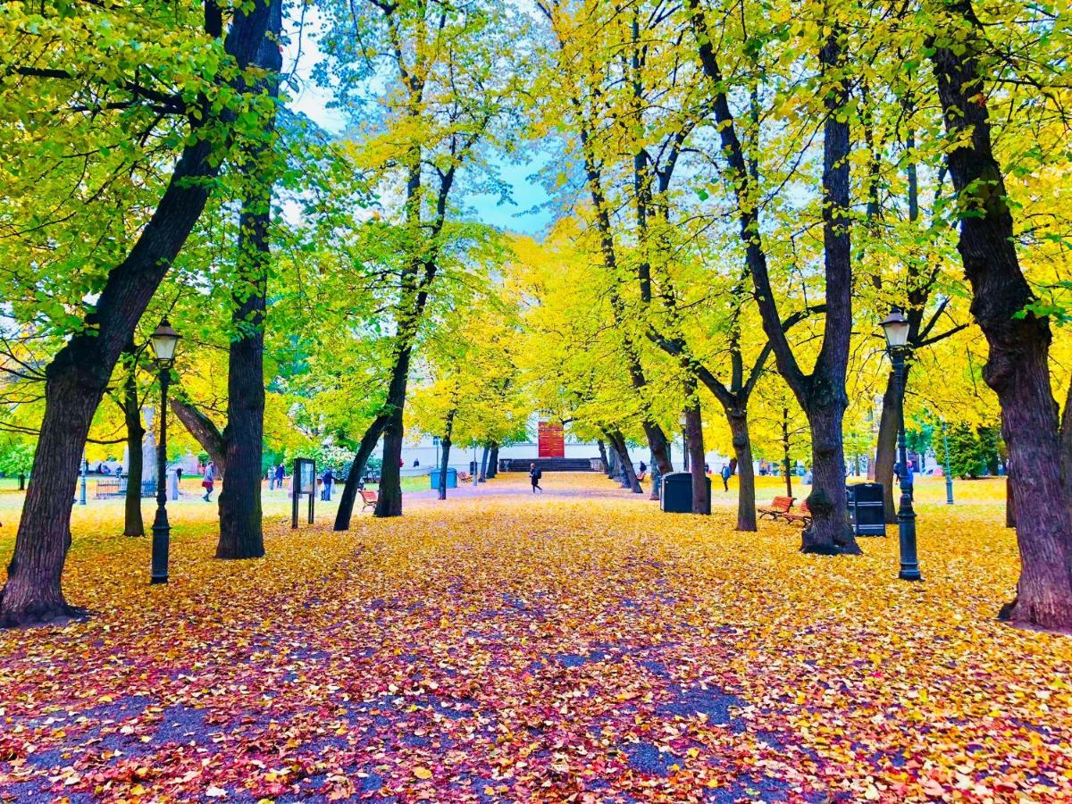 Scandinavian Home 21 In Heard City ヘルシンキ エクステリア 写真