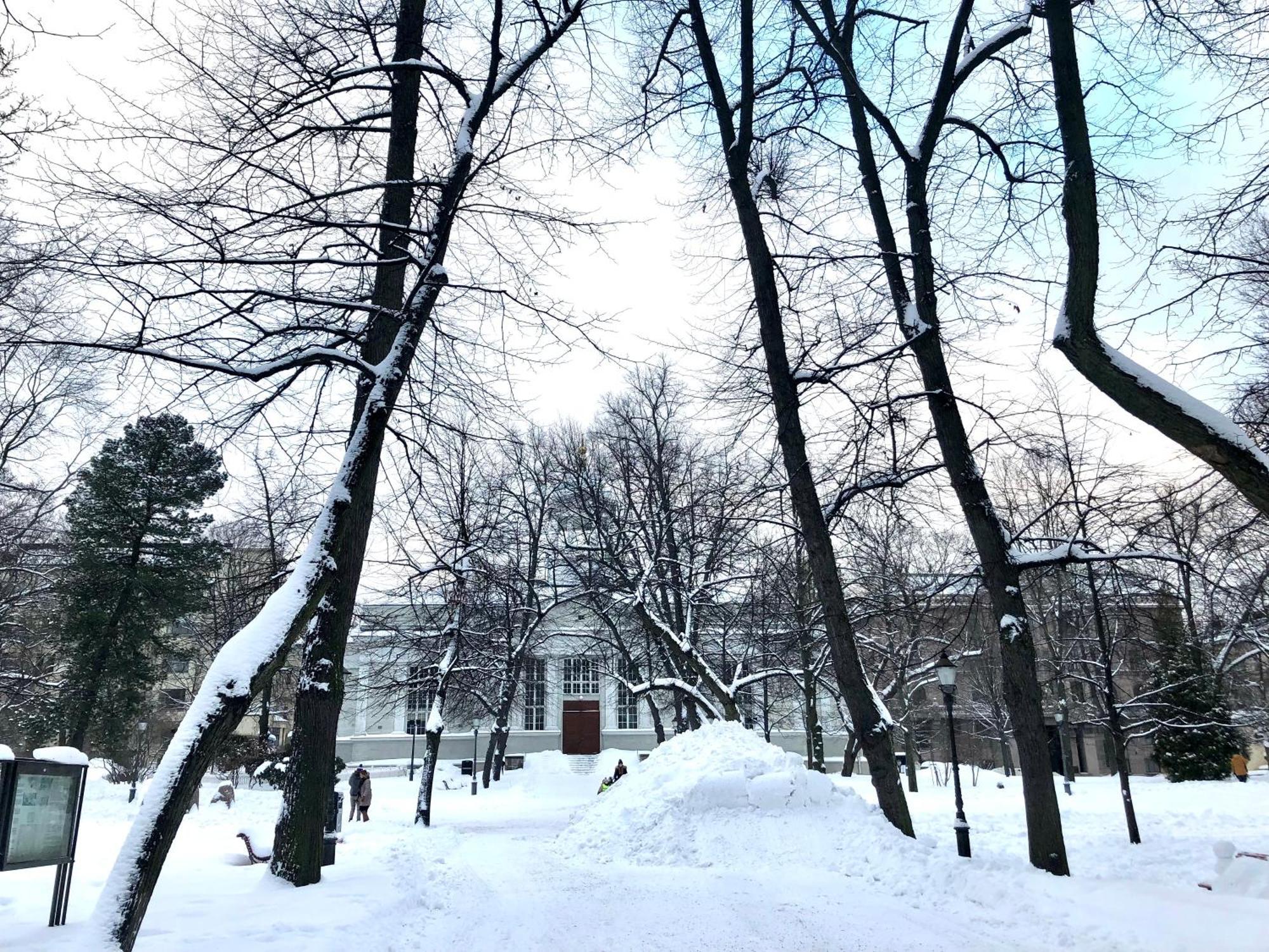 Scandinavian Home 21 In Heard City ヘルシンキ エクステリア 写真